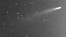 Comet Bennett