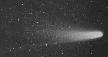 Halley's Comet