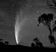 McNaught